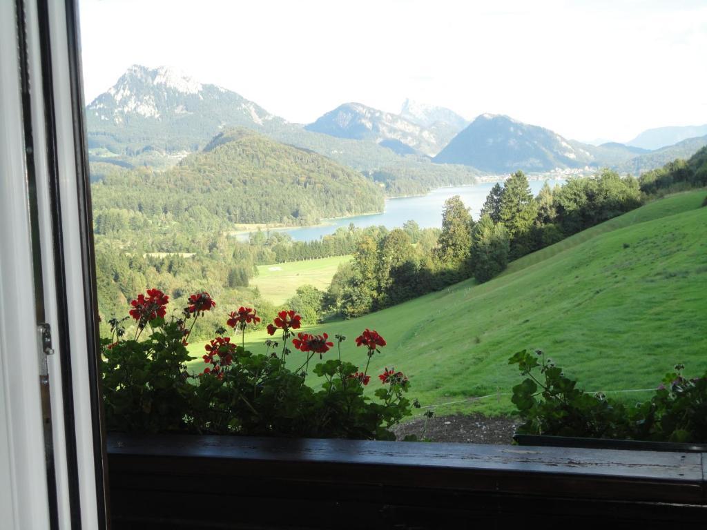 Bauernhof Strumegg Villa Hof bei Salzburg Habitación foto